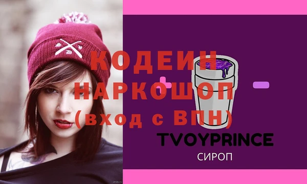 индика Алзамай