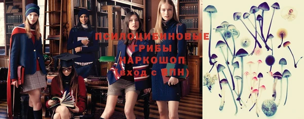кокс Алексин