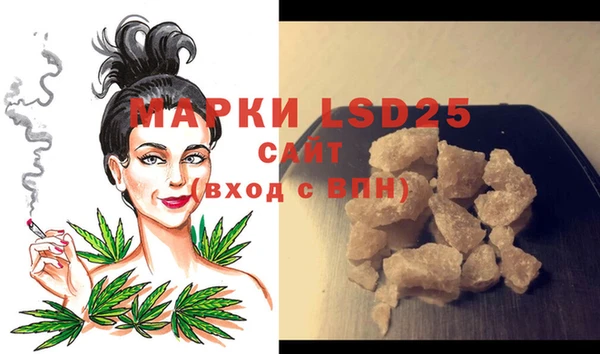 индика Алзамай