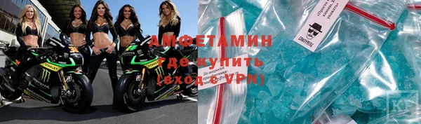 индика Алзамай