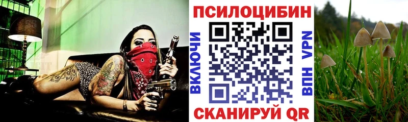 Псилоцибиновые грибы MAGIC MUSHROOMS хочу Обоянь
